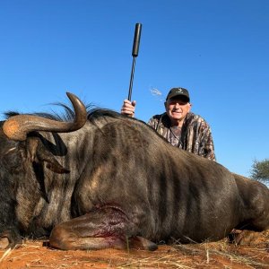 Blue Wildebeest Hunt South Africa