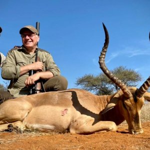 Impala Hunt South Africa