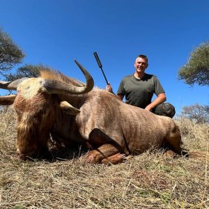 Golden Wildebeest Hunt South Africa