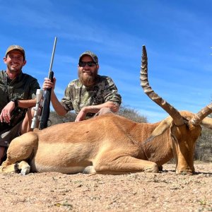 Impala Hunt South Africa