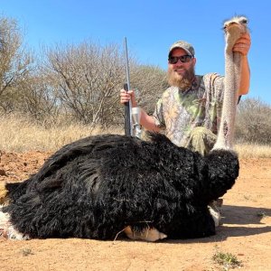 Ostrich Hunt South Africa