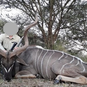 Kudu Hunt South Africa