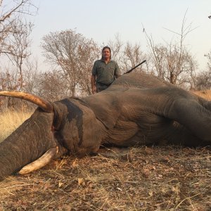 Elephant Hunt Matetsi Zimbabwe