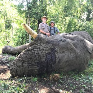 Elephant Hunt Matetsi Zimbabwe