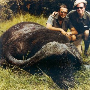 Robin Hurt and the 54-inch 'Monster of Masailand' (Kenya)