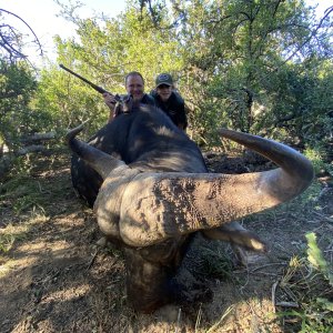 Cape Buffalo Hunting