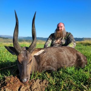 Bushbuck Hunting Kwa Zulu Natal South Africa