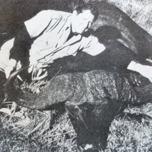 SCI founder C.J. McElroy with the SCI No. 2 Cape buffalo-Mt. Kenya