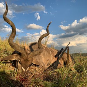 Kudu Hunting Kwa Zulu Natal South Africa