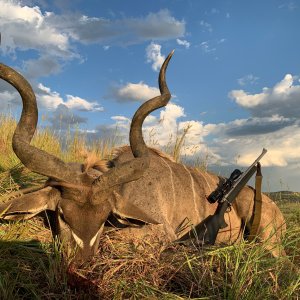 Kudu Hunting Kwa Zulu Natal South Africa