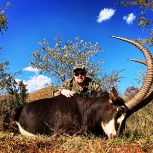 Sable Crossbow Hunt South Africa