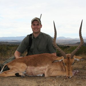 Impala Hunt South Africa