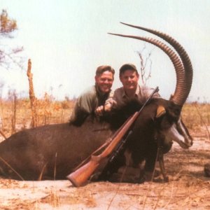 Sable Hunt Botswana