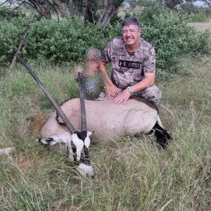 Gemsbok Hunting South Africa