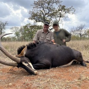 Sable Hunting South Africa