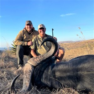 Buffalo Hunting South Africa