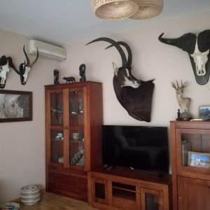 Trophy Room