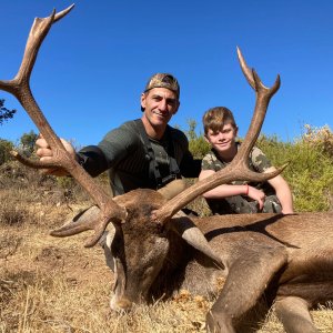 Old Deer taken with my son last season in Spain! (338 WinMag - Accubond 225gr)