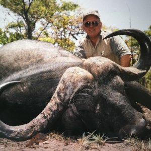 Cape Buffalo Hunting