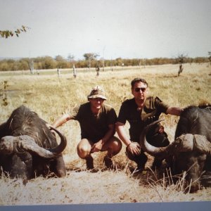 Cape Buffalo Hunting