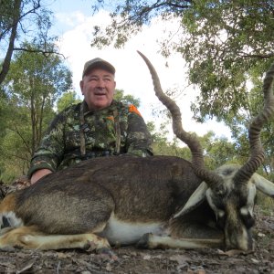 Black Buck Hunting