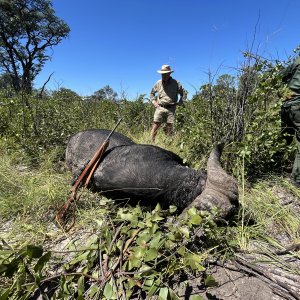 Buffalo Hunting Namibia