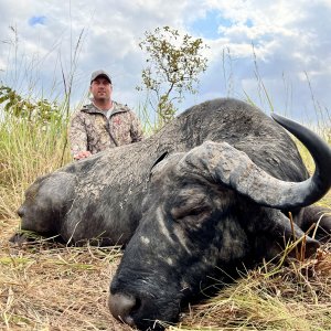 Buffalo Hunt Namibia