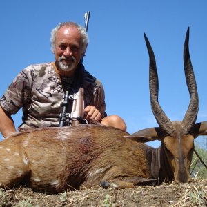 Chobe Bushbuck