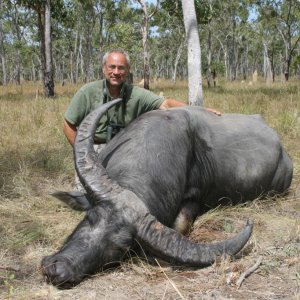 Asiatic Water Buffalo