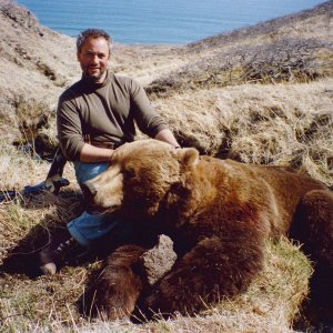 Coastal Alaskan Brown Bear