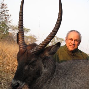 Defassa Waterbuck