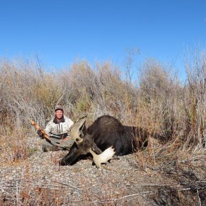 Moose Hunting