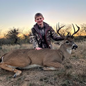 White-Tailed Deer Hunt Texas