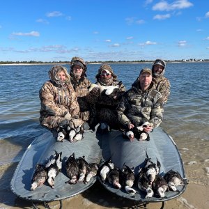 Sea Duck Hunting New York