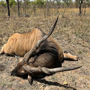 Lord Derby Hunt Cameroon