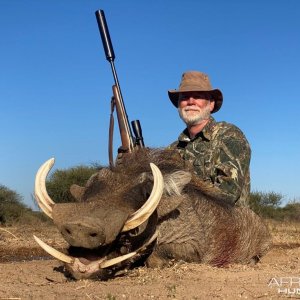 Warthog Hunt Limpopo South Africa