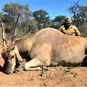 Eland Hunting Namibia