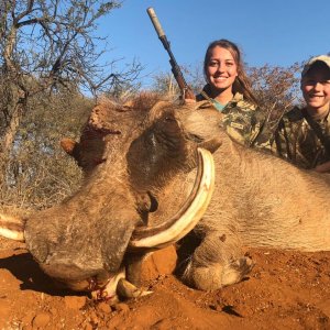 Warthog Hunting