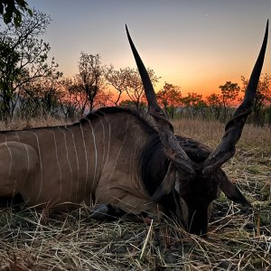 Lord Derby Hunt Cameroon