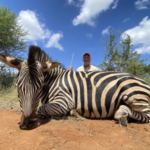 Zebra Hunting South Africa