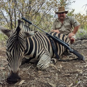 Zebra Hunting South Africa