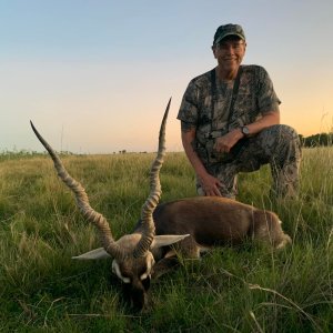 Hunting Blackbuck Argentina