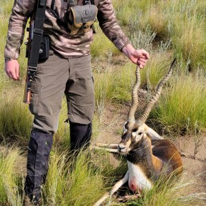 Blackbuck Hunt Argentina