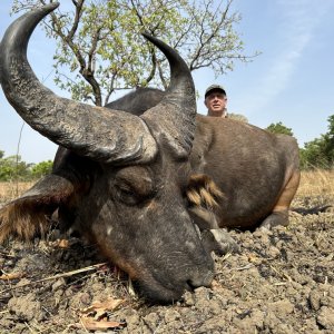 Western Buffalo Hunt Cameroon