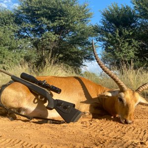 Lechwe Hunting South Africa