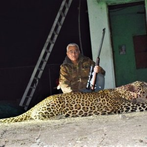 Leopard Hunting India