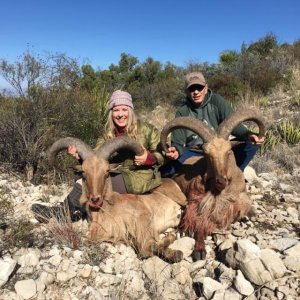 Auodad Hunt Texas