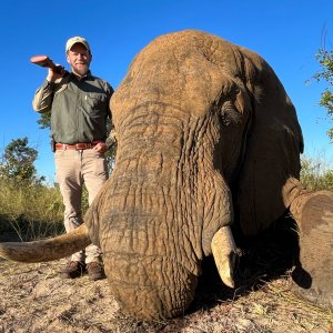 Elephant Hunting Zimbabwe