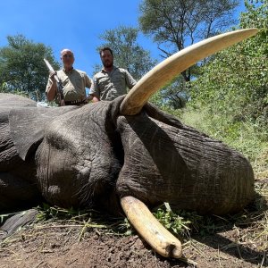 Elephant Hunting Zimbabwe