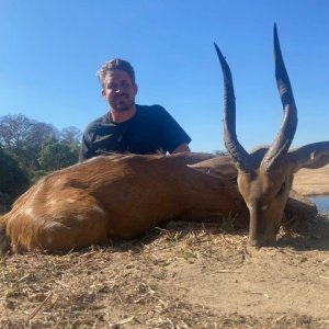 Bushbuck Hunt Mozambique